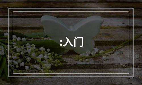 :入门