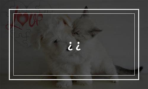 ¿ ¿