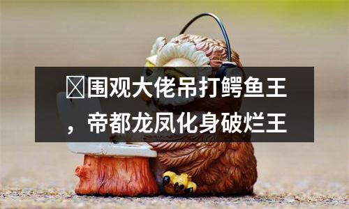 ​围观大佬吊打鳄鱼王，帝都龙凤化身破烂王
