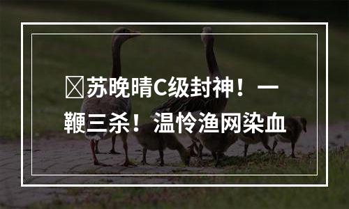 ​苏晚晴C级封神！一鞭三杀！温怜渔网染血