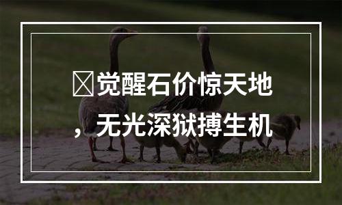 ​觉醒石价惊天地，无光深狱搏生机