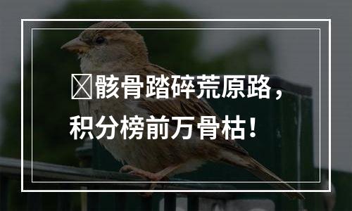 ​骸骨踏碎荒原路，积分榜前万骨枯！