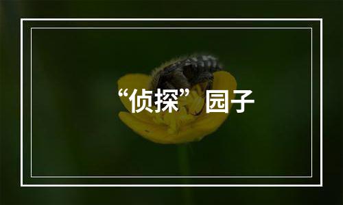 “侦探”园子