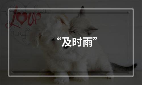 “及时雨”