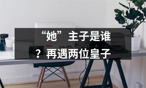 “她”主子是谁？再遇两位皇子