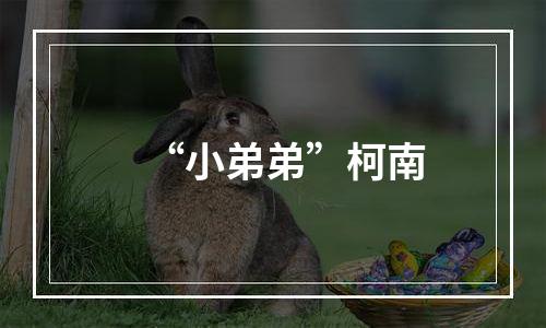 “小弟弟”柯南