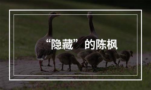 “隐藏”的陈枫