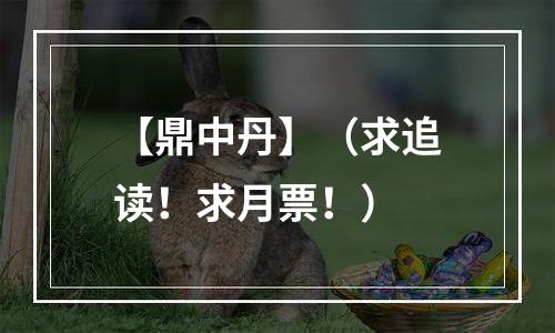 【鼎中丹】（求追读！求月票！）