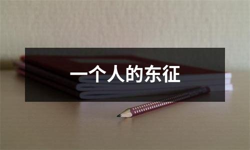 一个人的东征