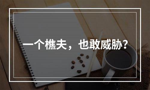 一个樵夫，也敢威胁？