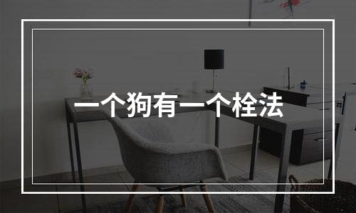 一个狗有一个栓法