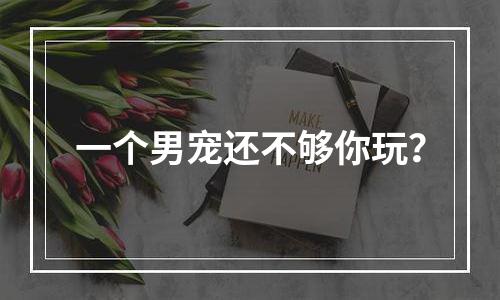 一个男宠还不够你玩？