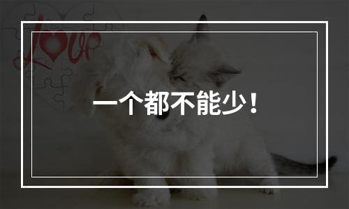 一个都不能少！
