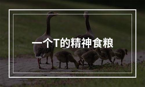一个T的精神食粮