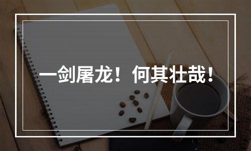 一剑屠龙！何其壮哉！