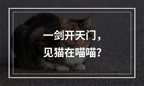 一剑开天门，见猫在喵喵？