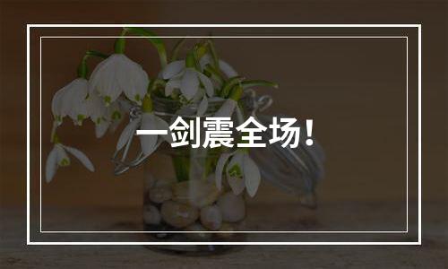一剑震全场！