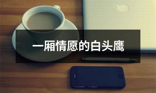 一厢情愿的白头鹰