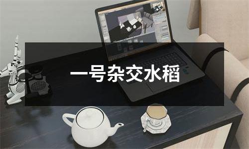 一号杂交水稻