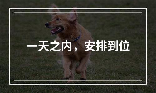 一天之内，安排到位