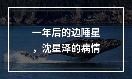 一年后的边陲星，沈星泽的病情
