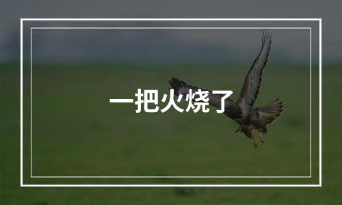 一把火烧了