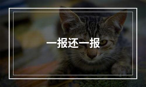 一报还一报