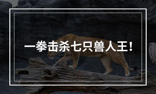 一拳击杀七只兽人王！