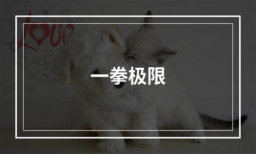 一拳极限