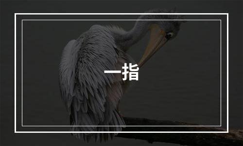一指
