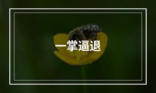 一掌逼退