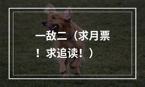 一敌二（求月票！求追读！）