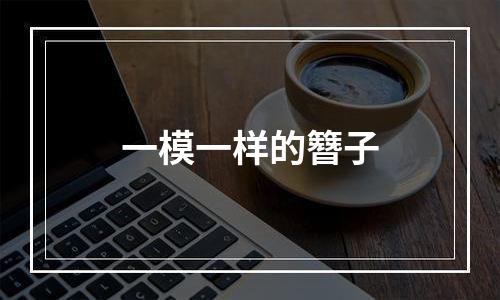 一模一样的簪子