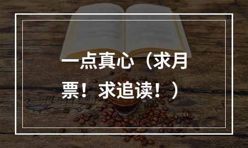 一点真心（求月票！求追读！）