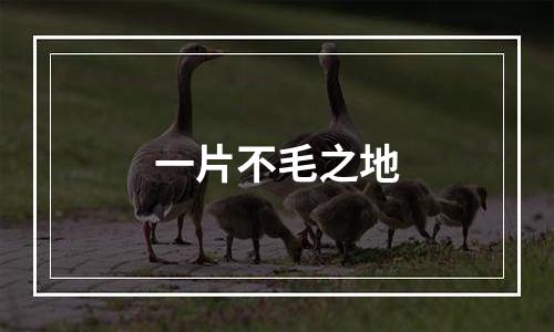 一片不毛之地