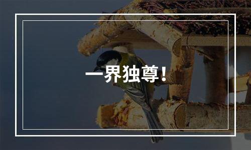 一界独尊！