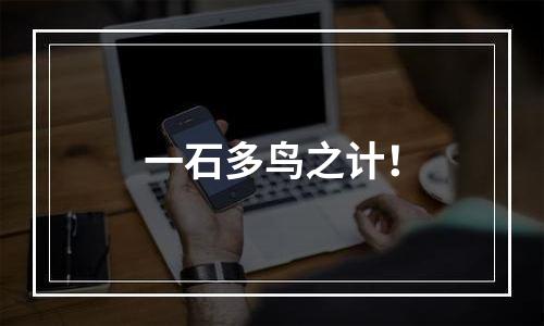 一石多鸟之计！