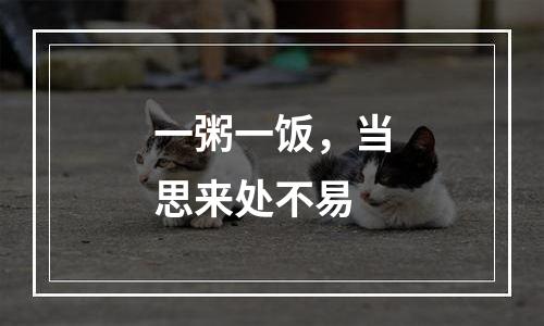 一粥一饭，当思来处不易