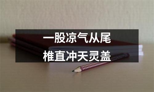 一股凉气从尾椎直冲天灵盖