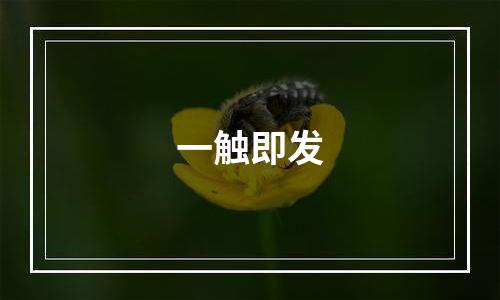 一触即发