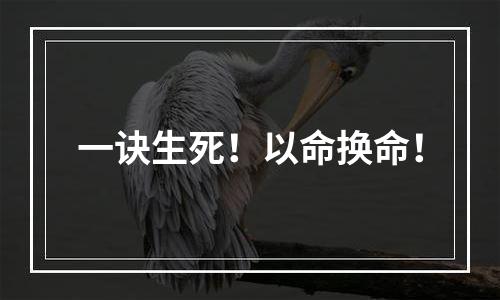 一诀生死！以命换命！
