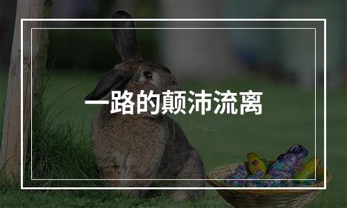 一路的颠沛流离