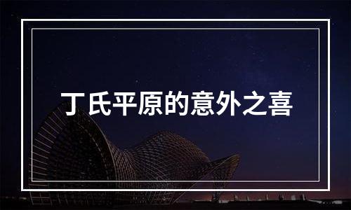 丁氏平原的意外之喜
