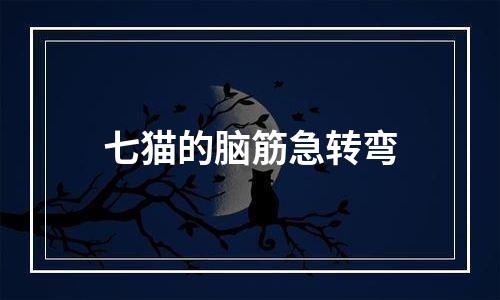 七猫的脑筋急转弯