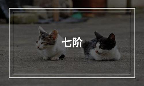 七阶