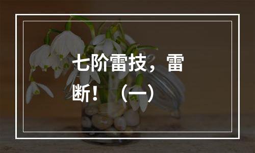 七阶雷技，雷断！（一）