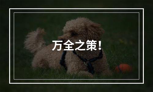 万全之策！