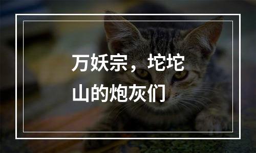 万妖宗，坨坨山的炮灰们