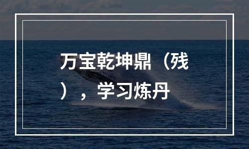 万宝乾坤鼎（残），学习炼丹
