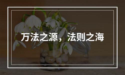 万法之源，法则之海